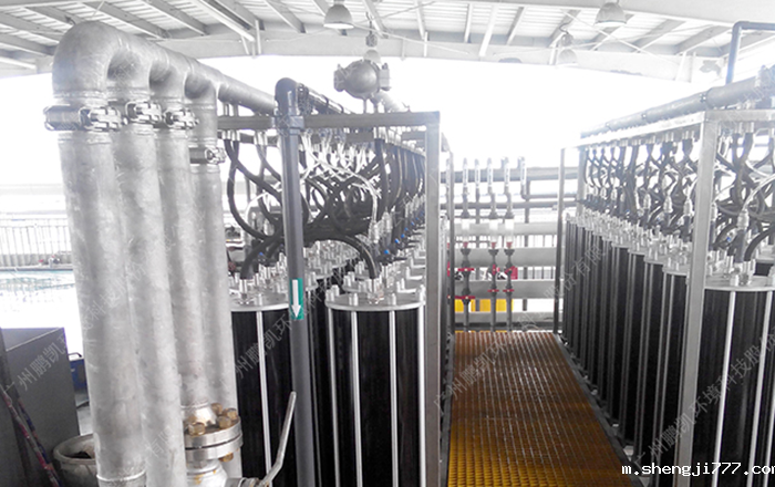 武汉某垃圾渗滤液项目工程