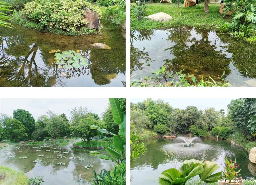 广州市海珠区兰溪湖治理效果