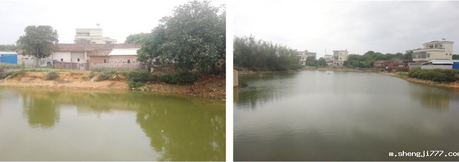 耀潭生活污水生态塘处理前