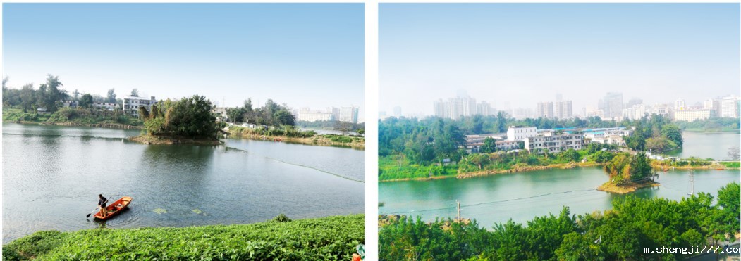 海口市公园人工湖修复后