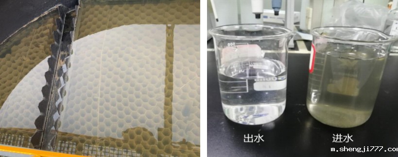 进出水效果对比