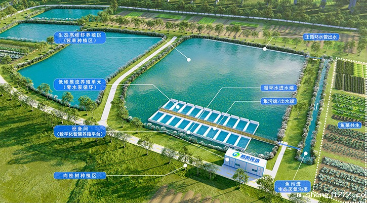 粤港澳大湾区鱼虾共生绿色循环养殖示范(高要)基地